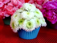 inspiredideas Cupcake Flower Bouquet